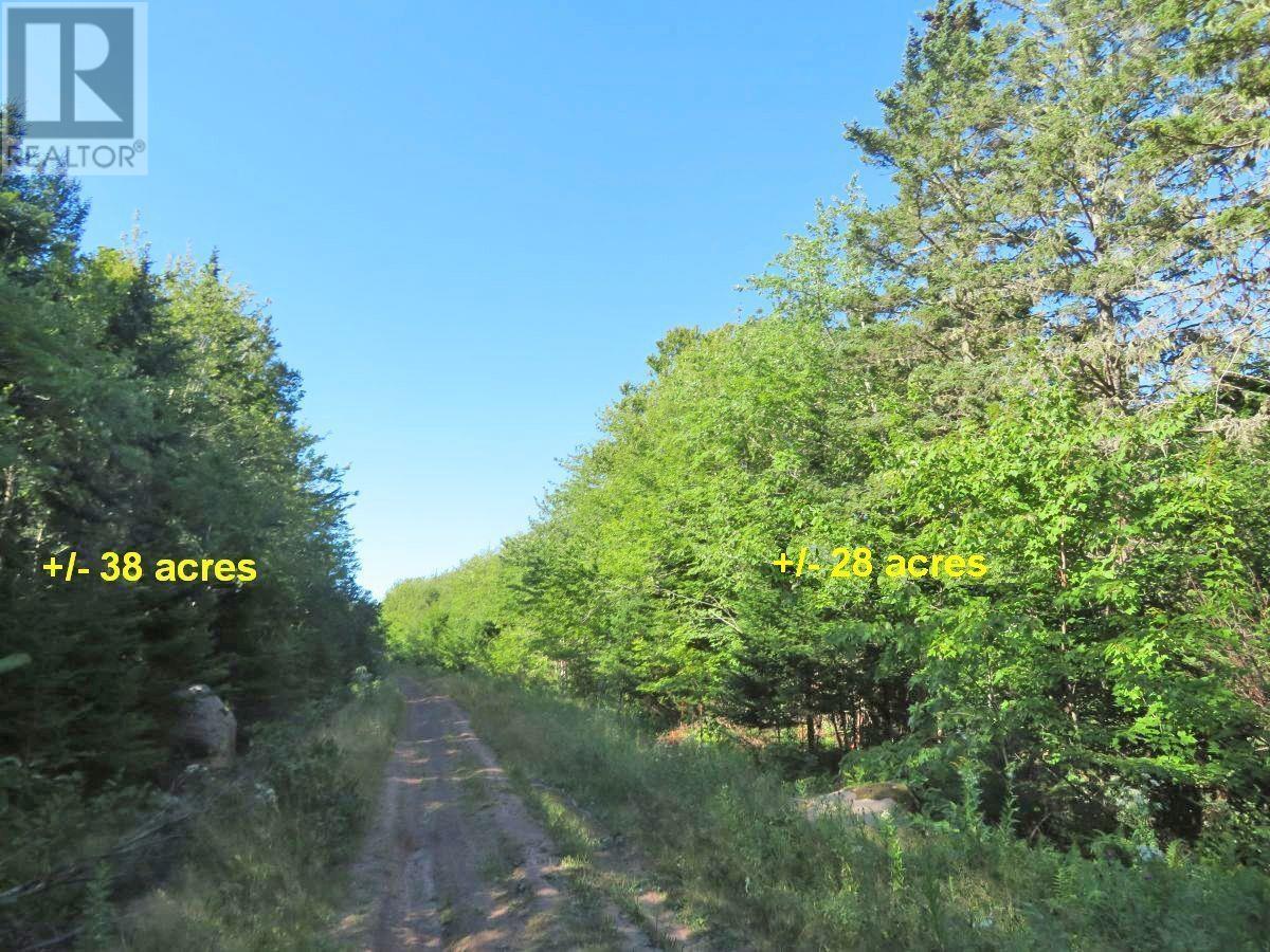 2 Lots Lower River Road Property Photo 11