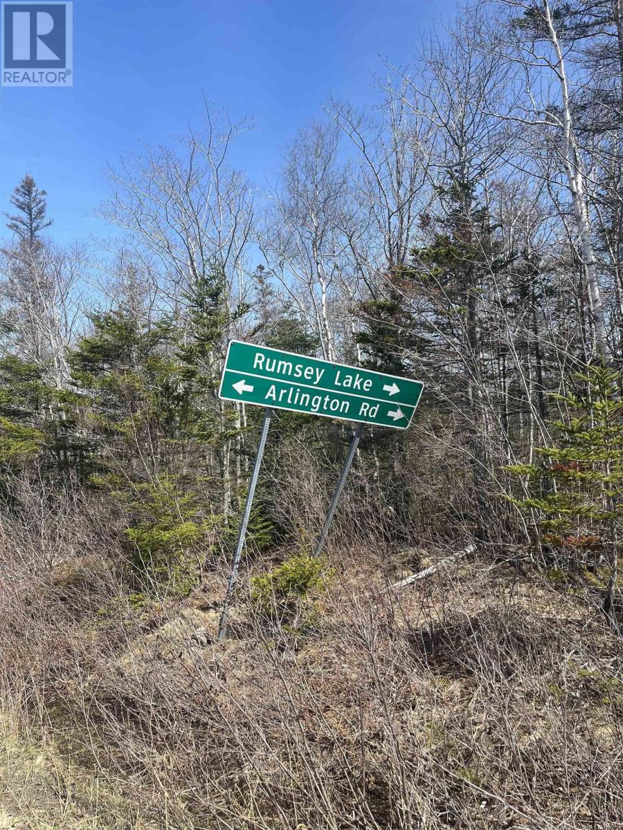 Lot Hampton Mountain Road Property Photo 3