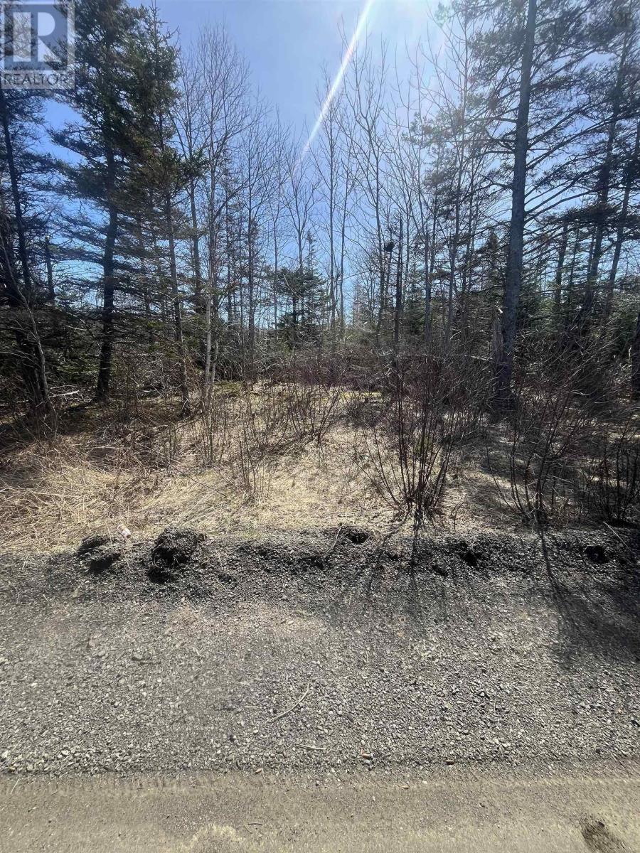 Lot Hampton Mountain Road Property Photo 5