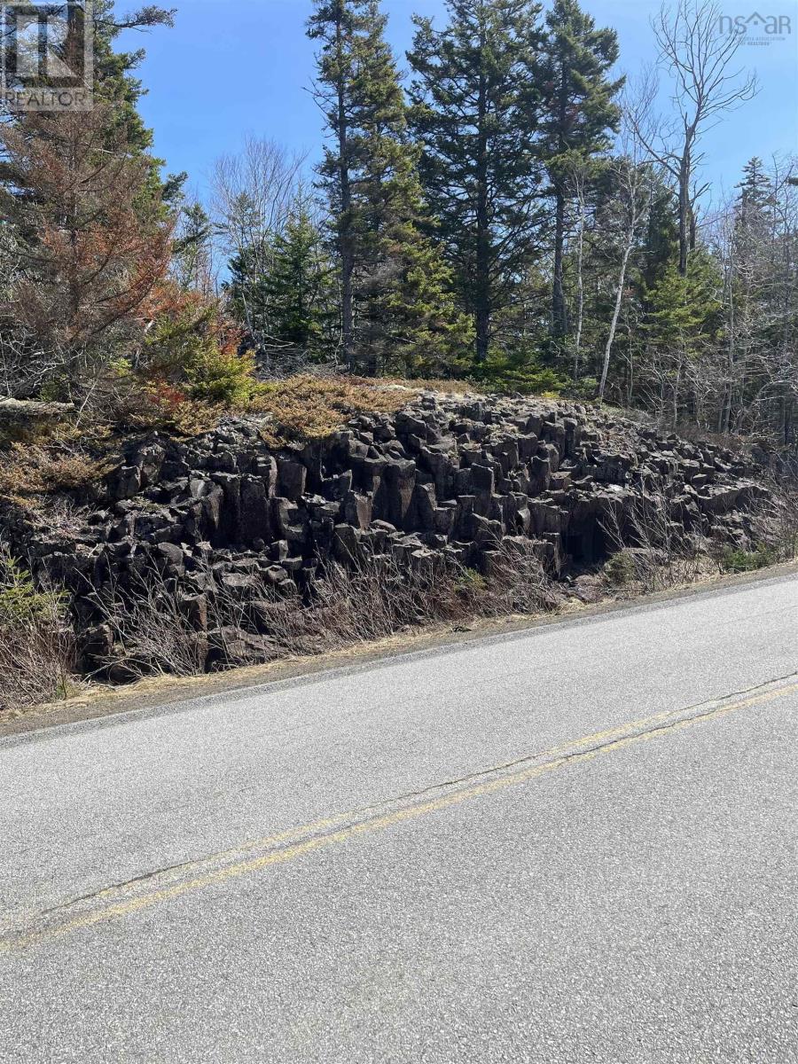 Lot Hampton Mountain Road Property Photo 6