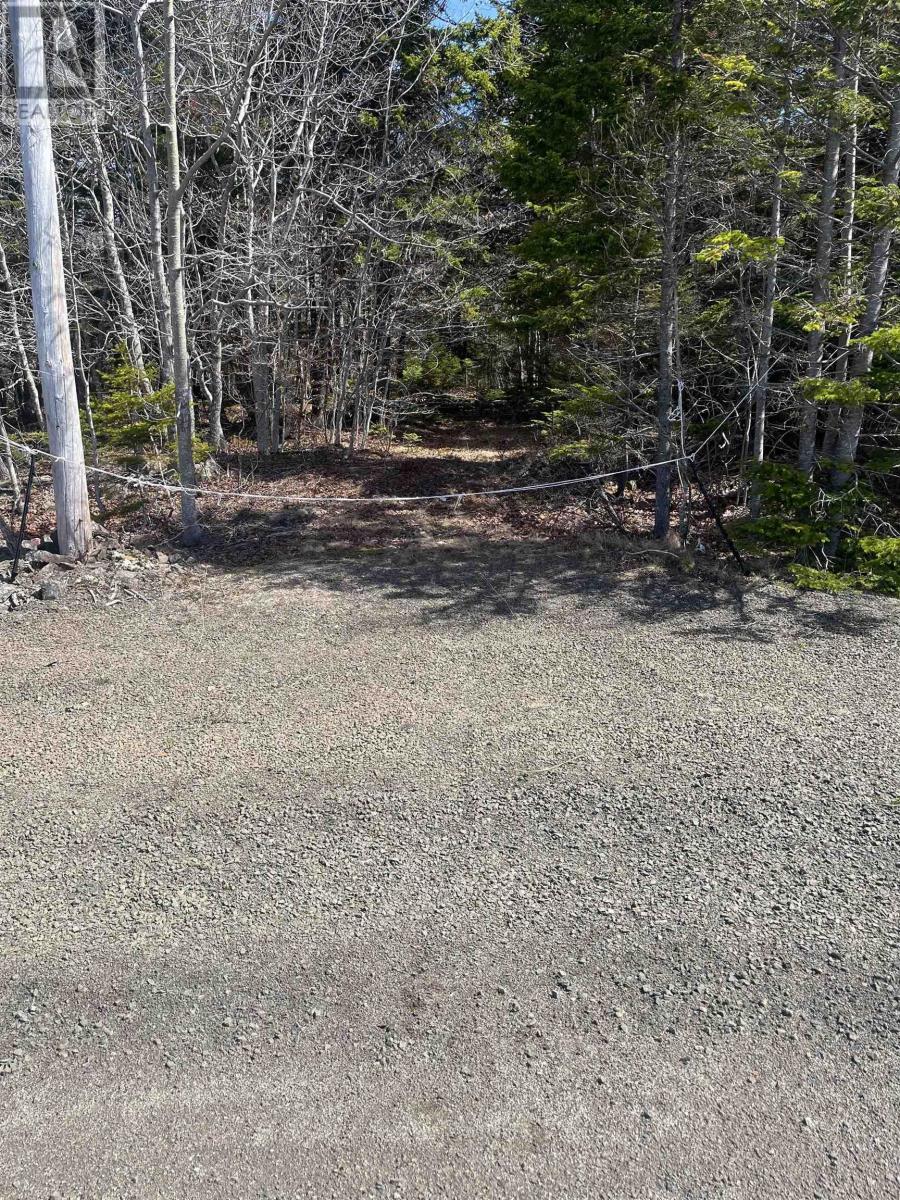 Lot Hampton Mountain Road Property Photo 7