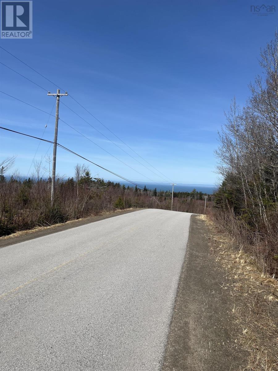 Lot Hampton Mountain Road Property Photo 9