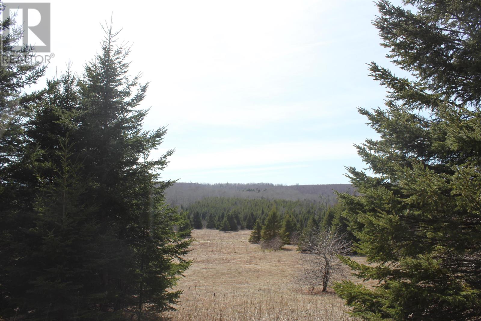 Lot 25-1 Dixon Road Property Photo 6
