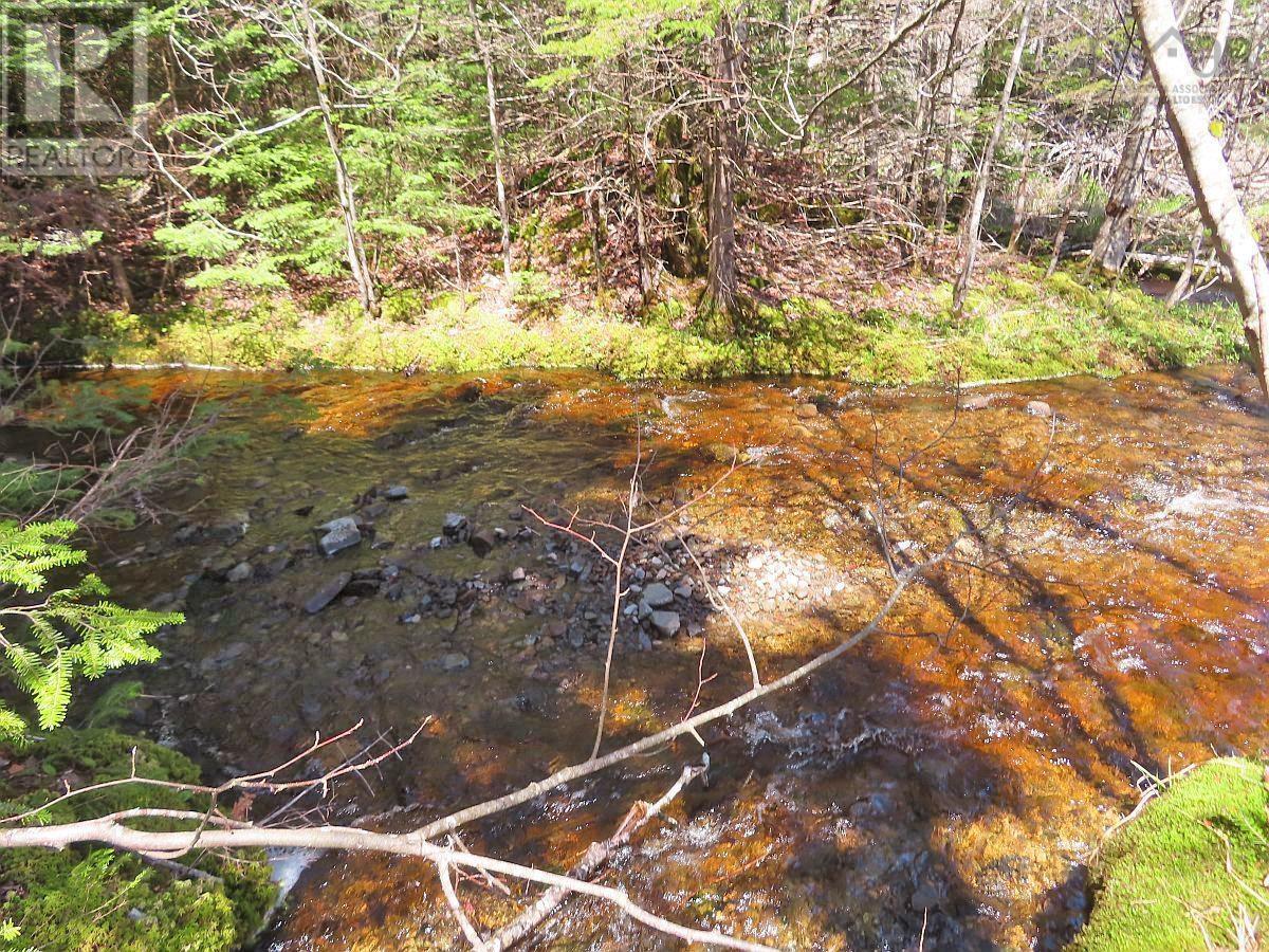 128.5 Acres West Side Road Property Photo 3