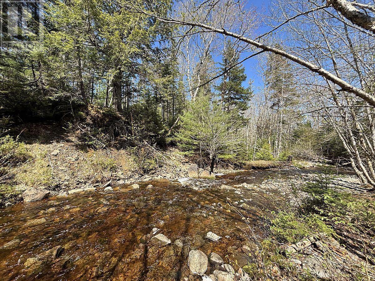 128.5 Acres West Side Road Property Photo 4