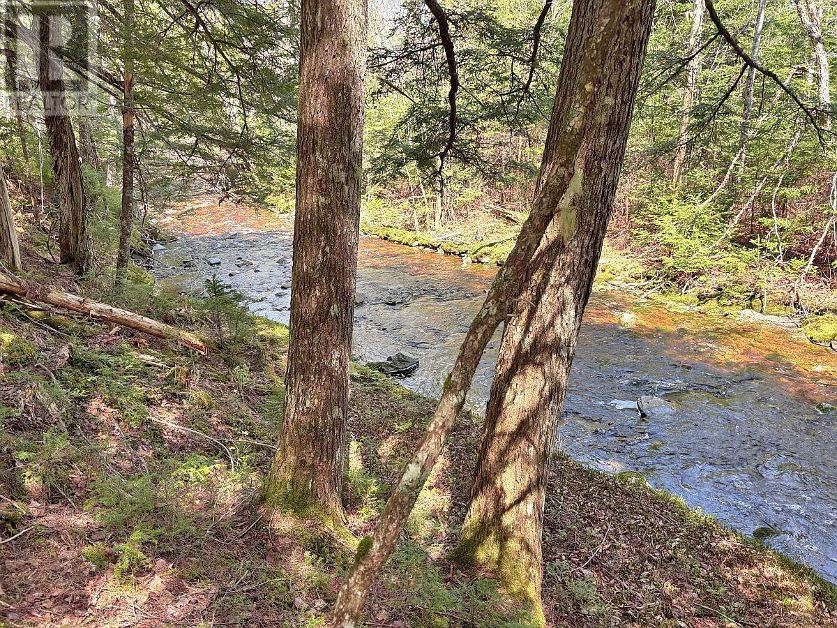 128.5 Acres West Side Road Property Photo 7