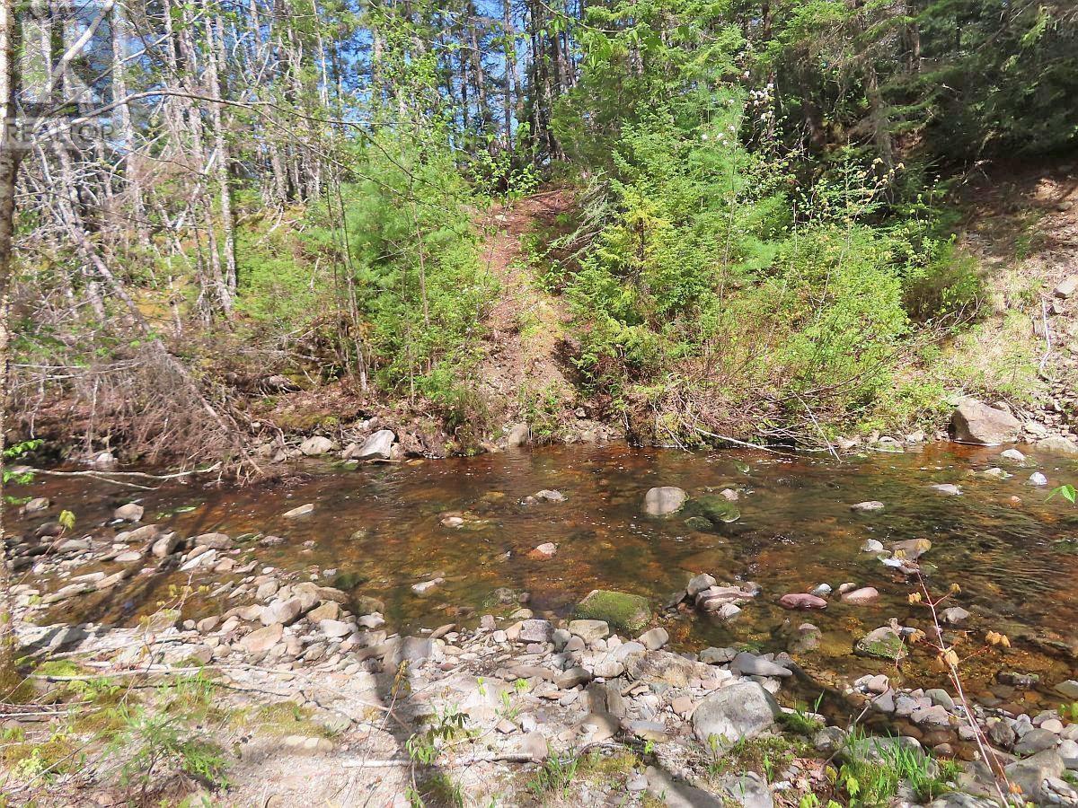 128.5 Acres West Side Road Property Photo 9