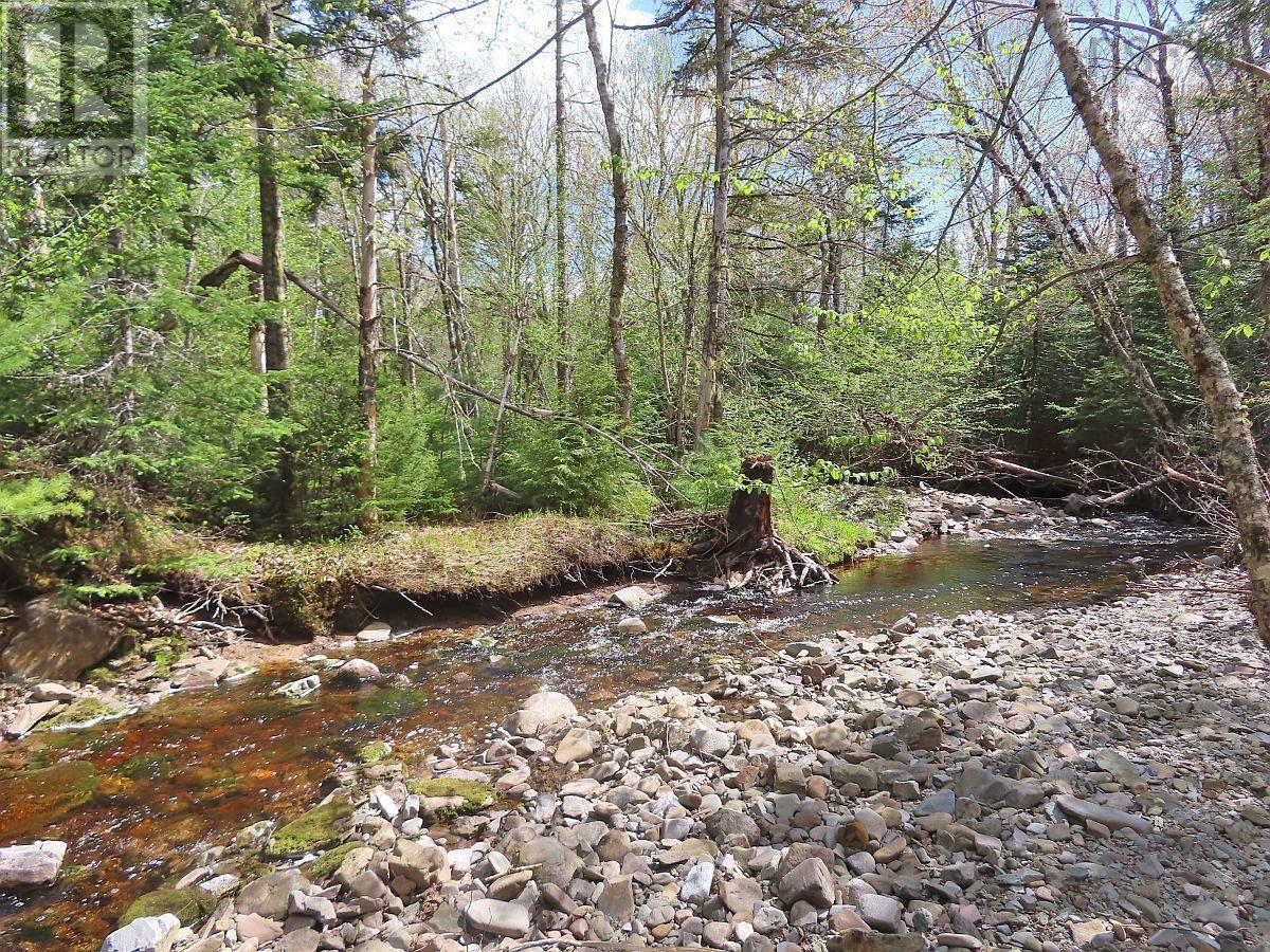 128.5 Acres West Side Road Property Photo 10