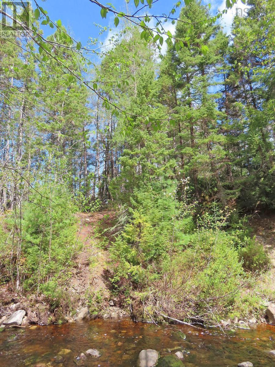 128.5 Acres West Side Road Property Photo 11