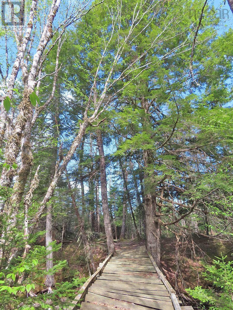128.5 Acres West Side Road Property Photo 12