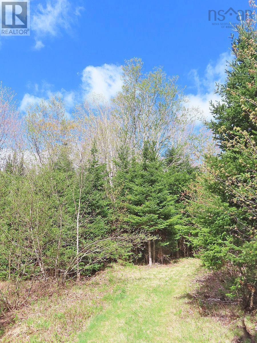 128.5 Acres West Side Road Property Photo 13
