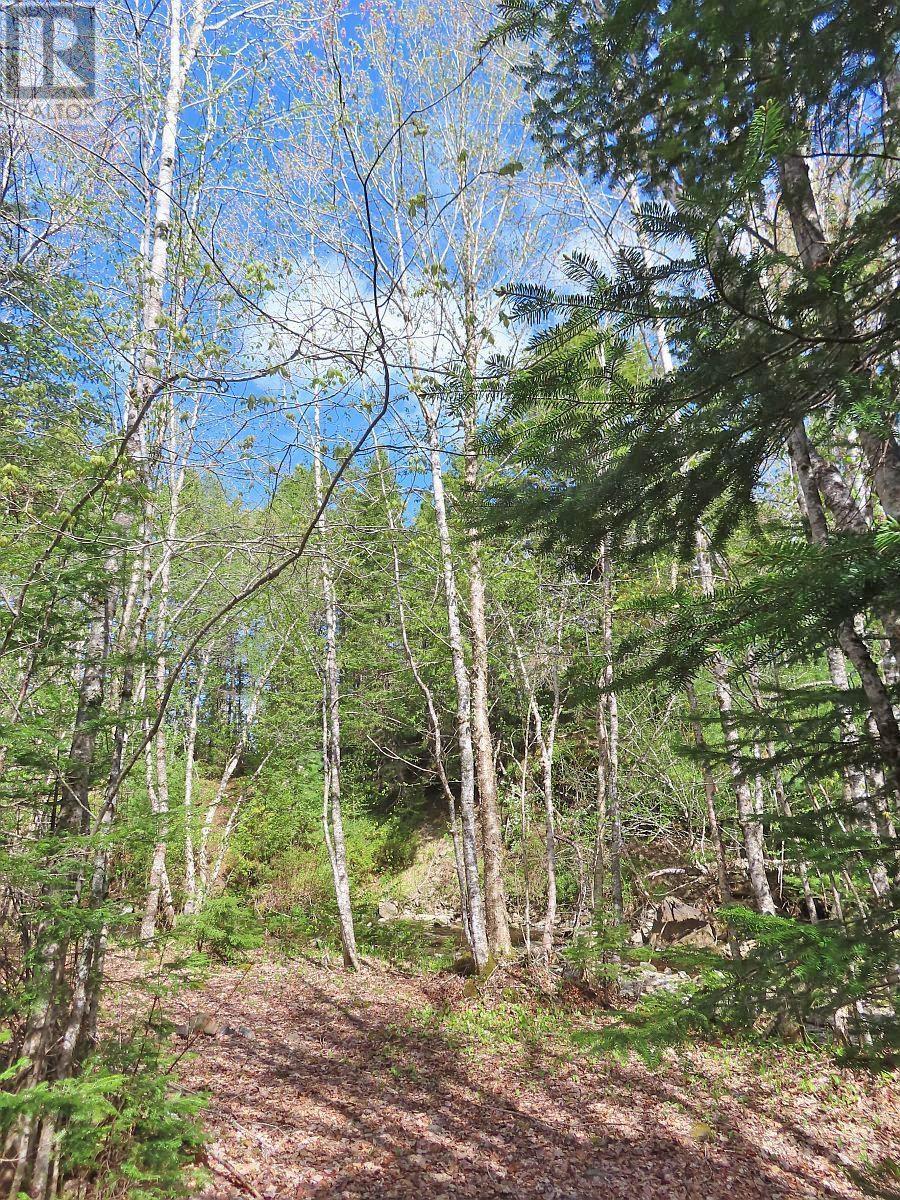 128.5 Acres West Side Road Property Photo 15