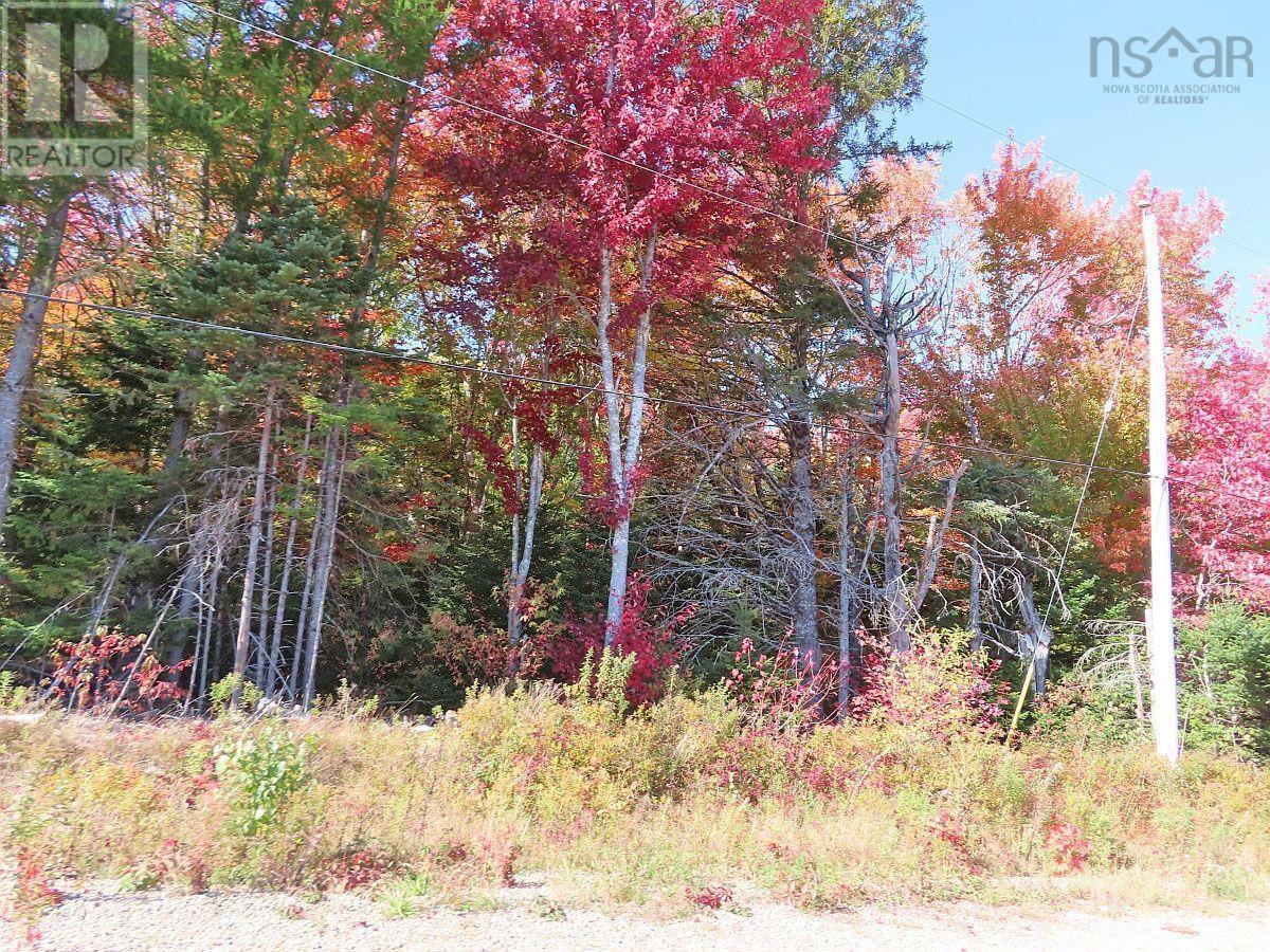 128.5 Acres West Side Road Property Photo 18