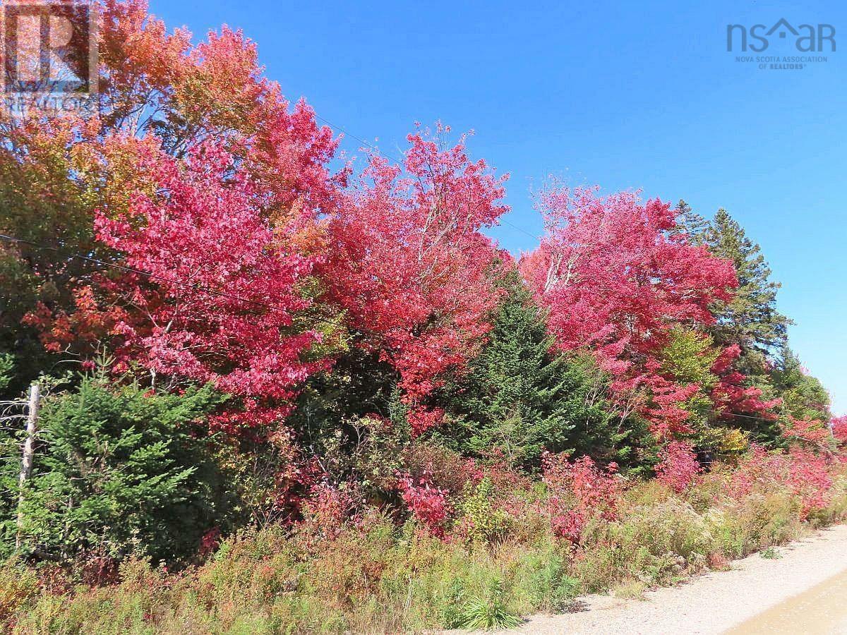 128.5 Acres West Side Road Property Photo 19