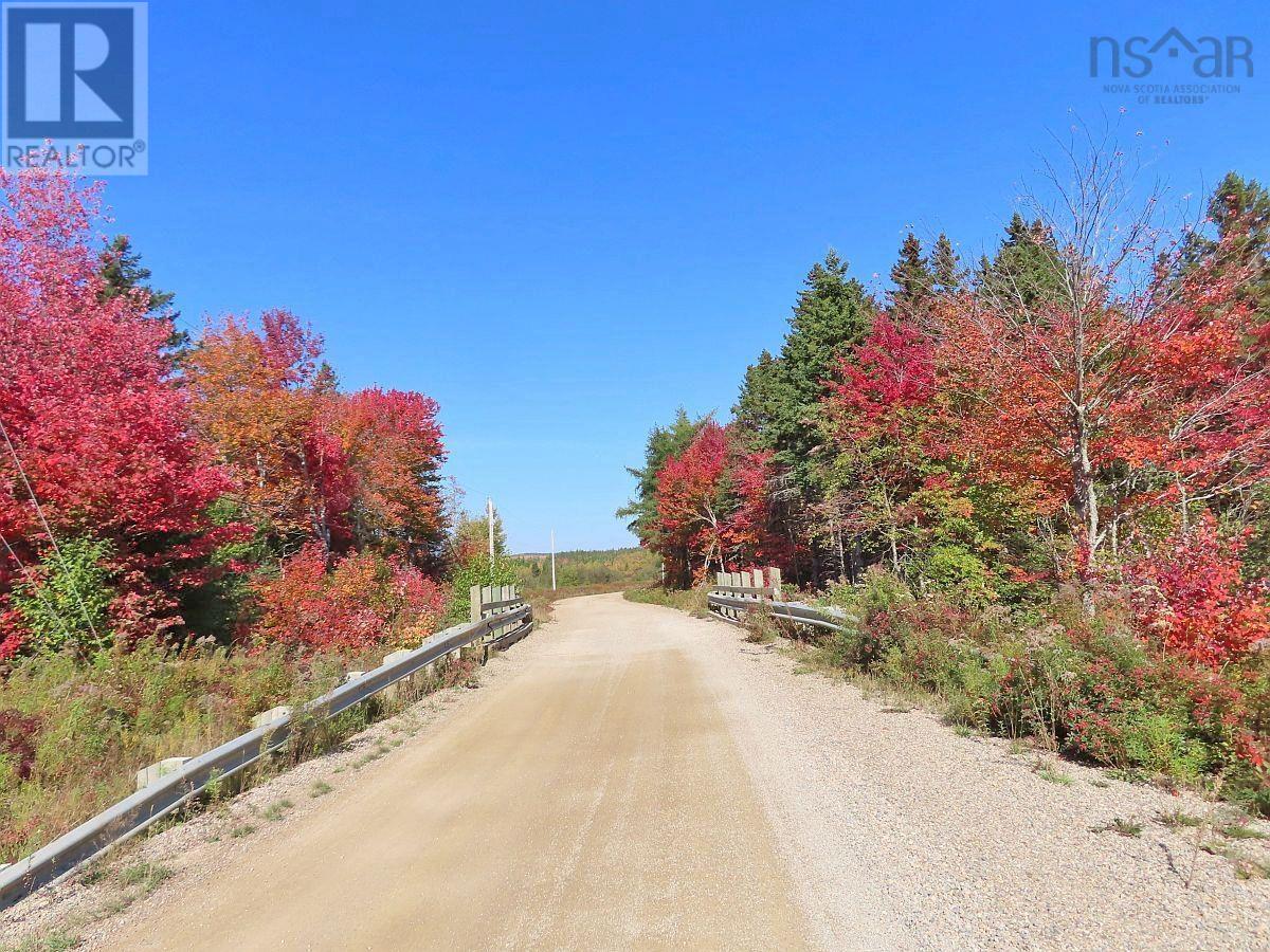 128.5 Acres West Side Road Property Photo 20