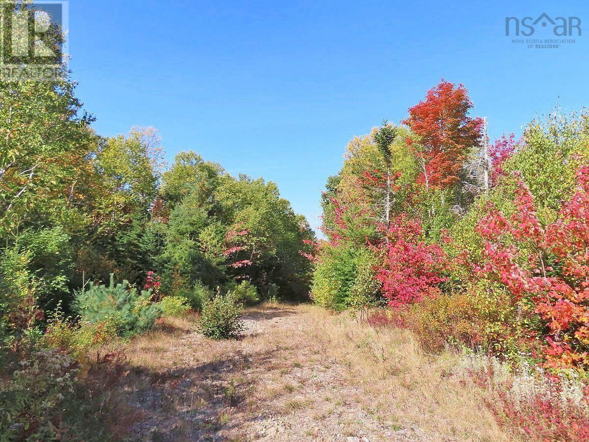 128.5 Acres West Side Road Property Photo 25