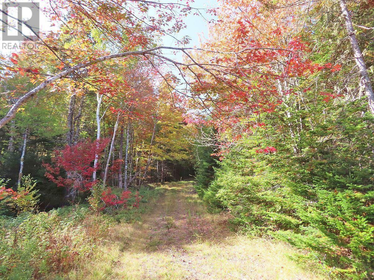 128.5 Acres West Side Road Property Photo 29