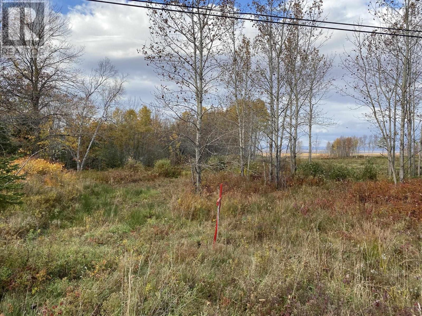 Lot 1 Highway 215 Property Photo 2