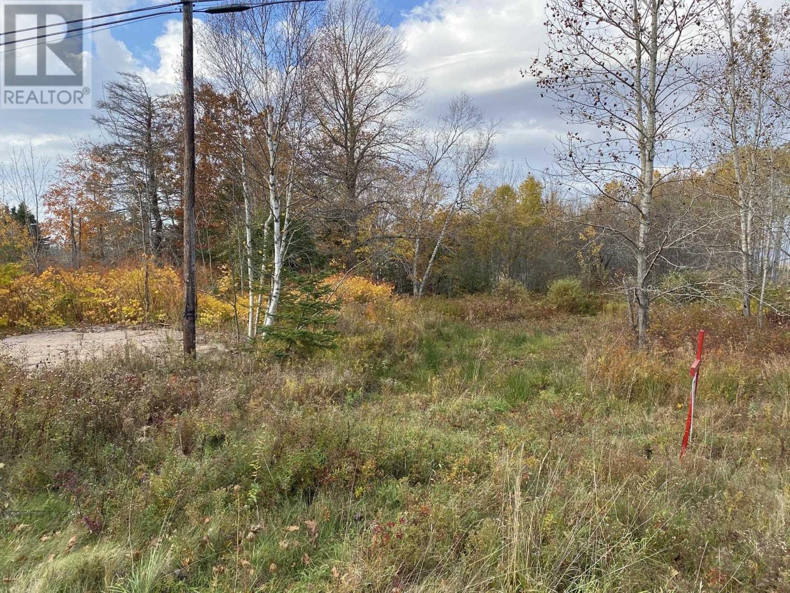 Lot 1 Highway 215 Property Photo 3