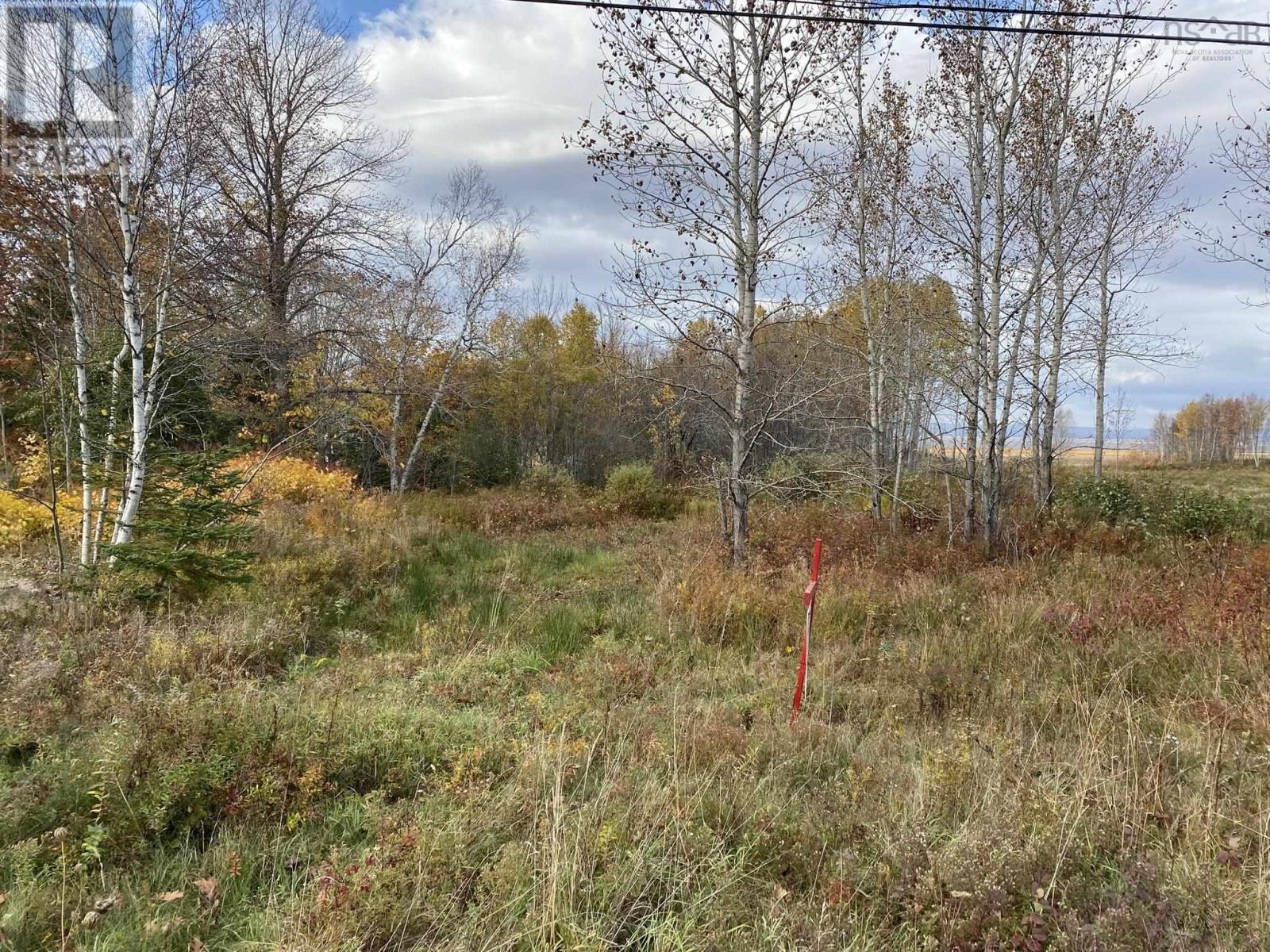 Lot 1 Highway 215 Property Photo 4