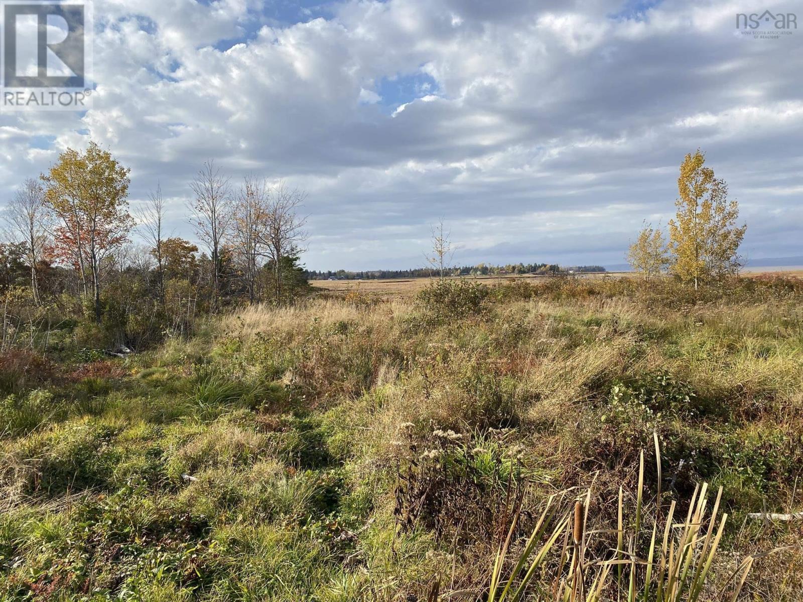 Lot 1 Highway 215 Property Photo 5