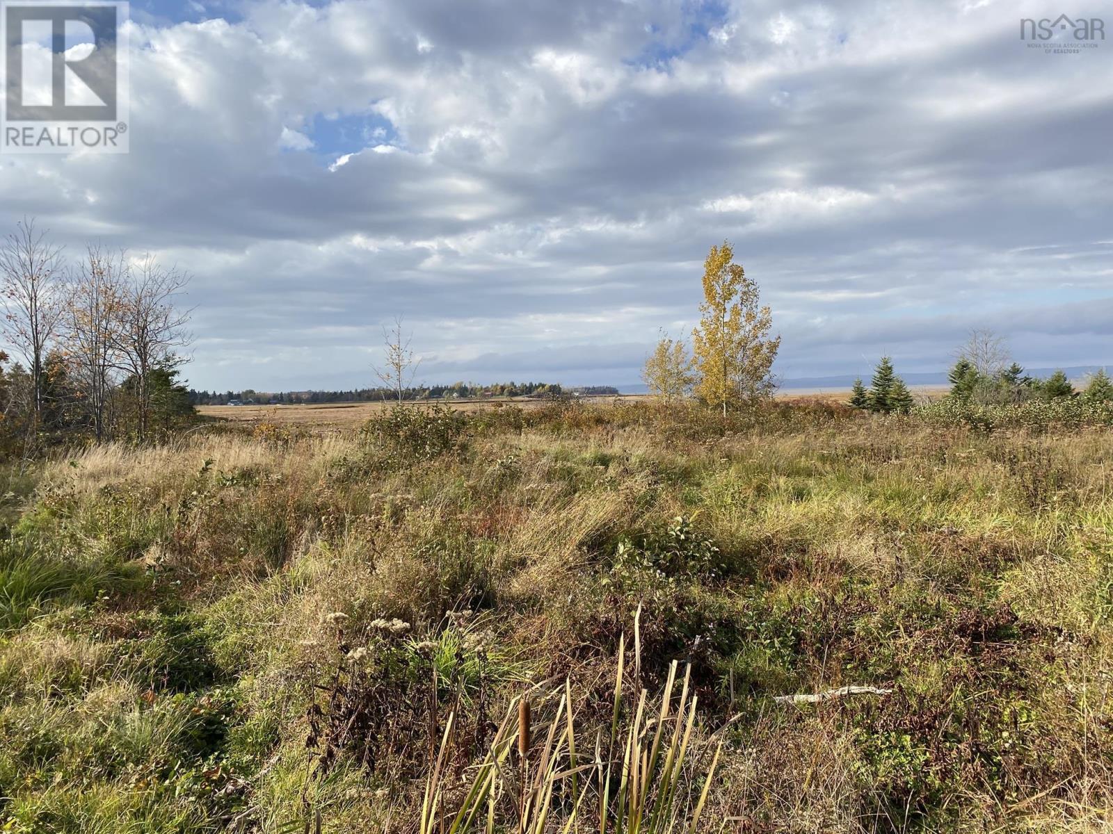 Lot 1 Highway 215 Property Photo 6