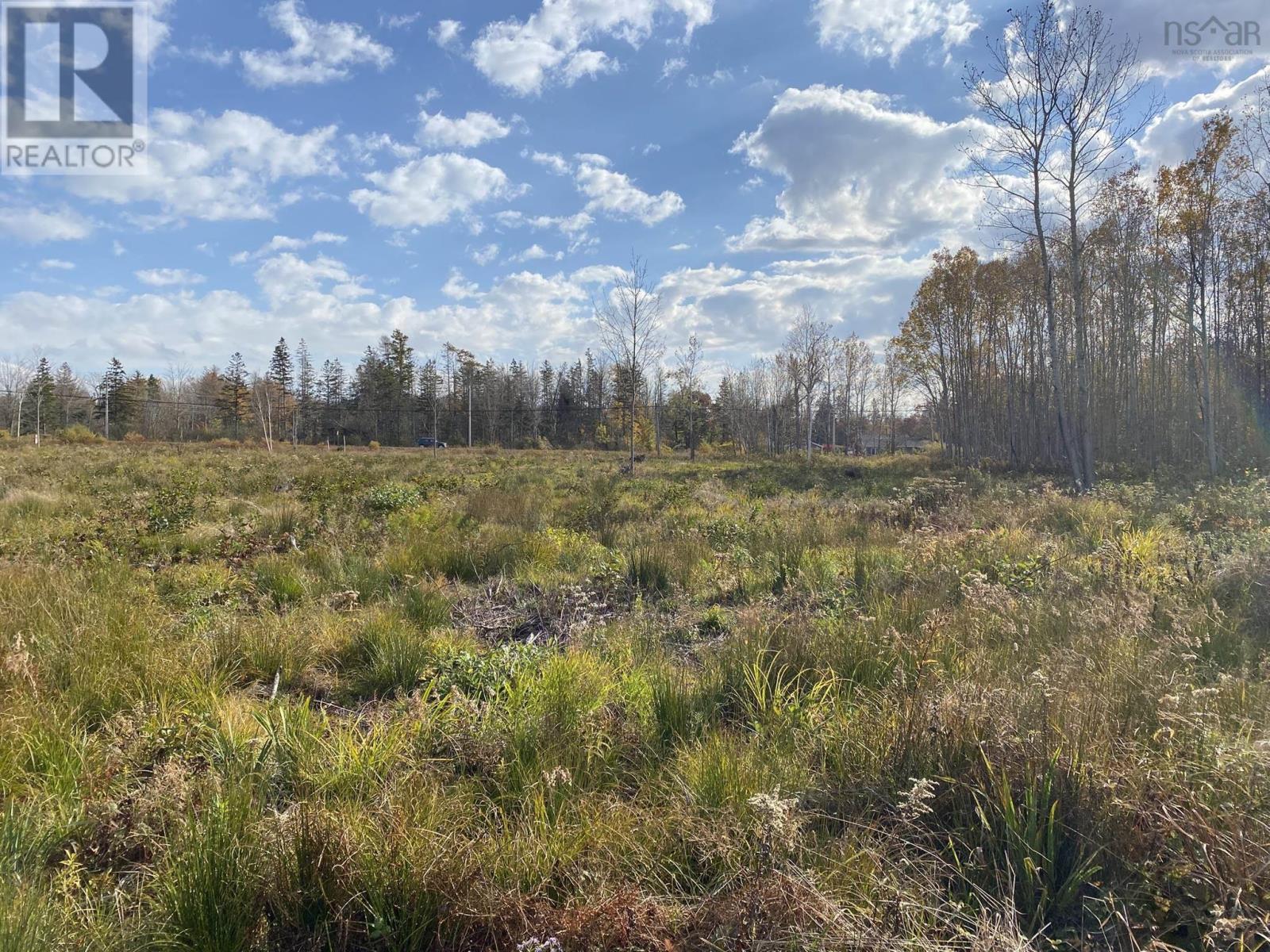 Lot 1 Highway 215 Property Photo 11