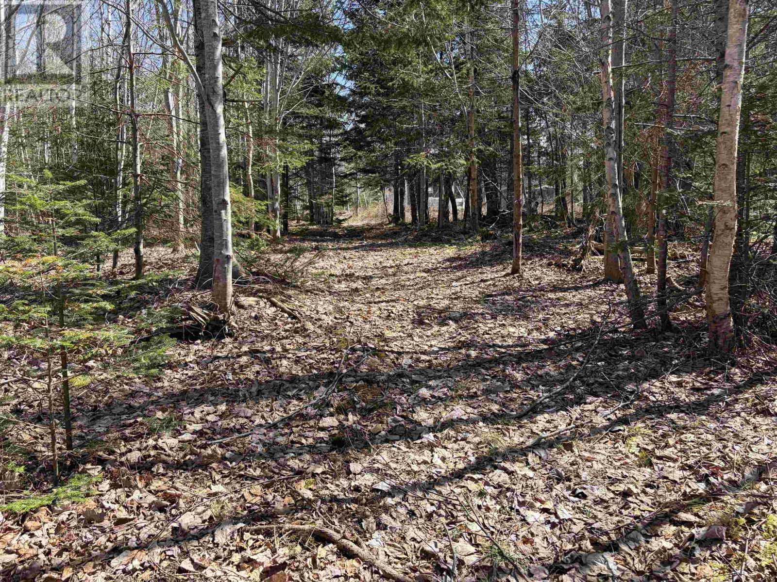 1925 Highway 215 Property Photo 17