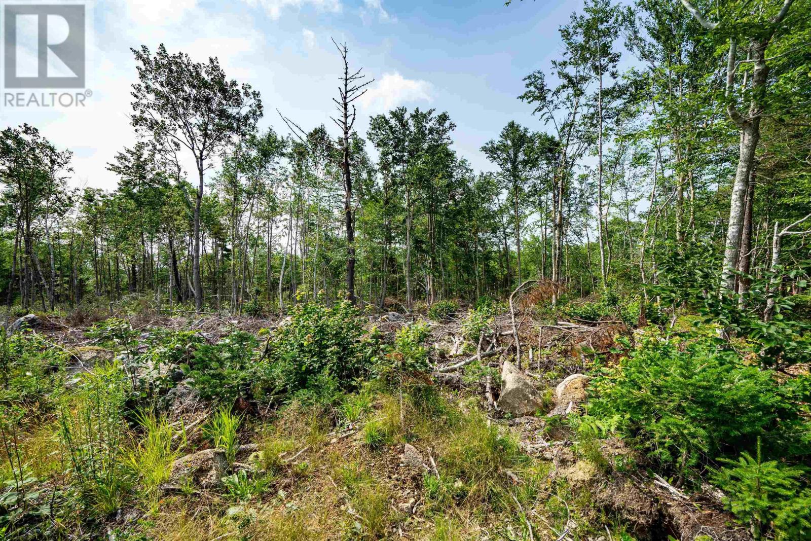 Lot 5 Victory Road Property Photo 12