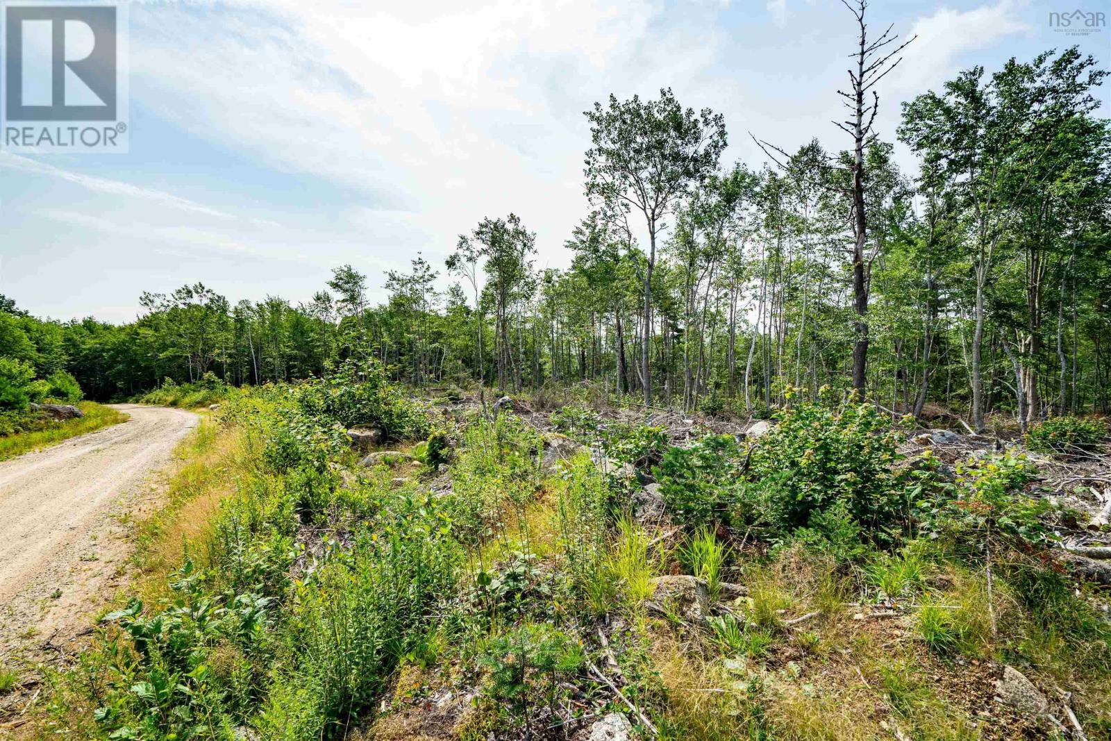 Lot 5 Victory Road Property Photo 13