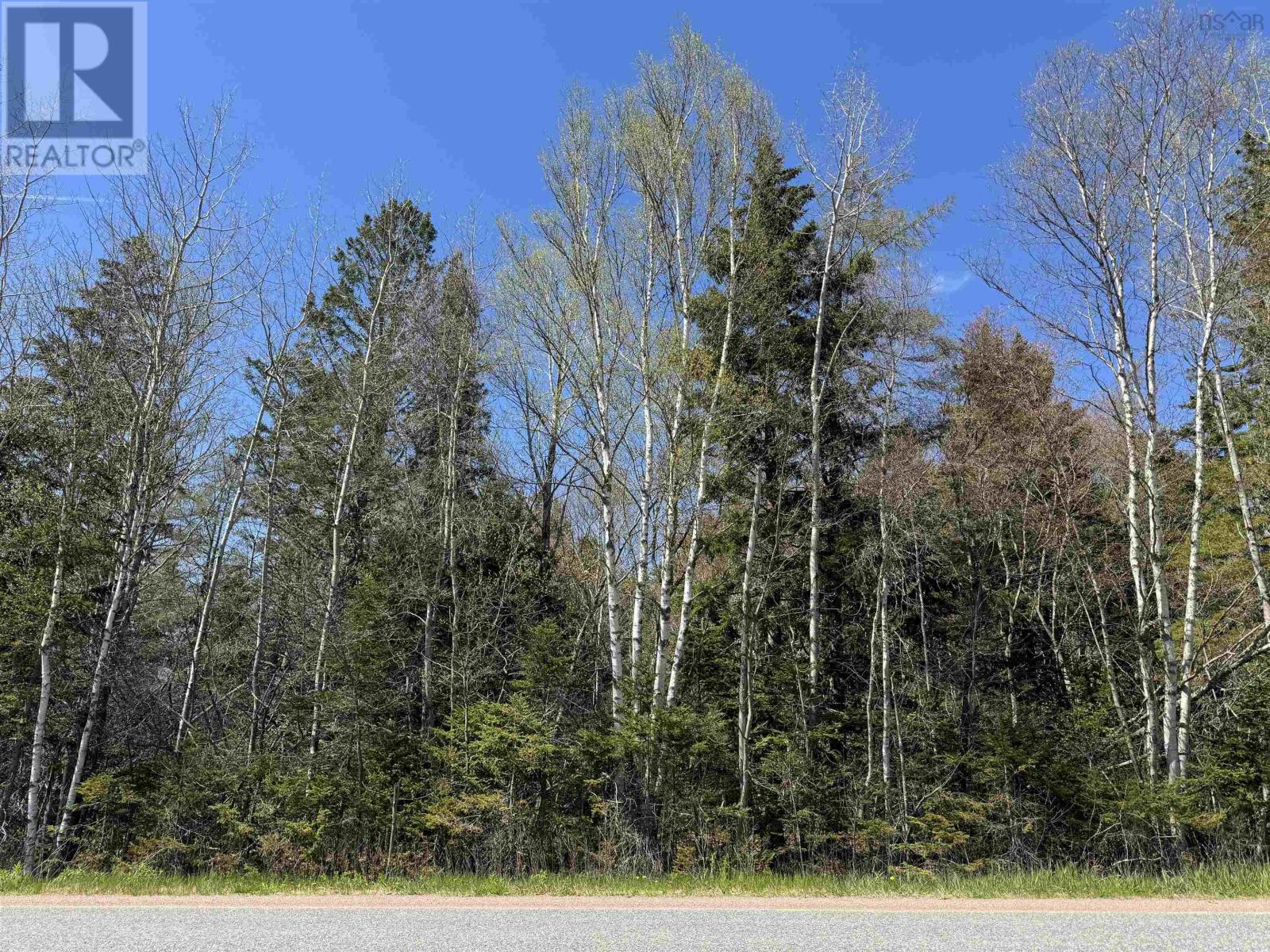 Lot 4 Highway 509 Property Photo 1