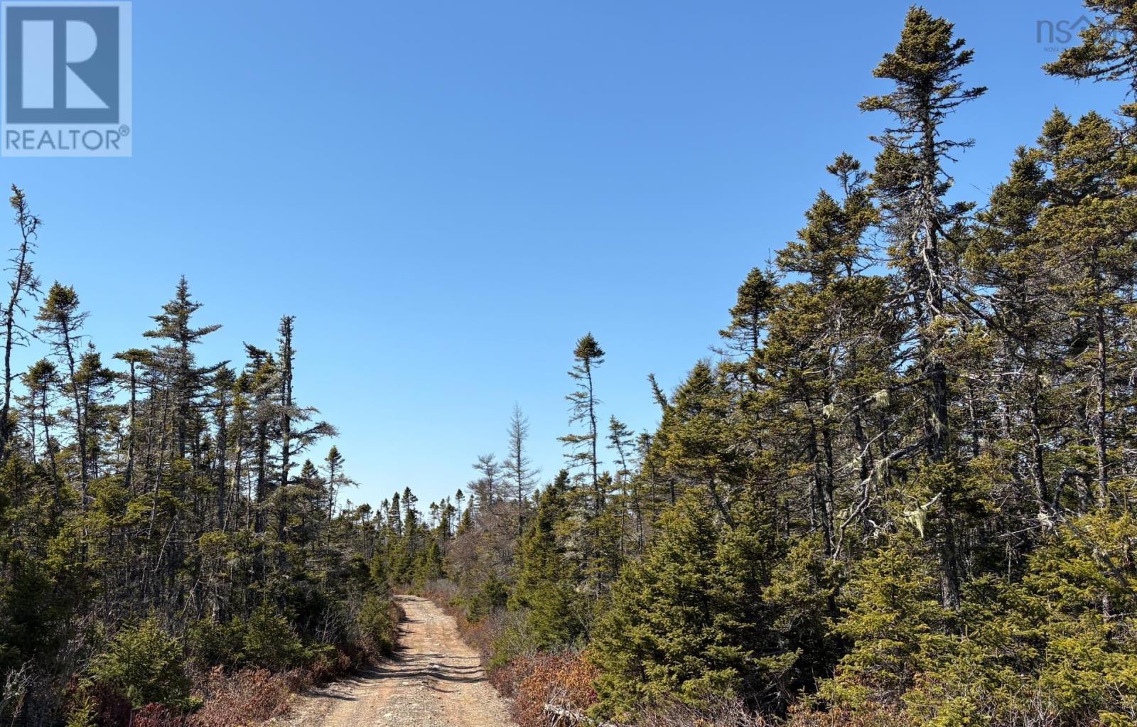 Lots Ostrea Lake Road Property Photo 10