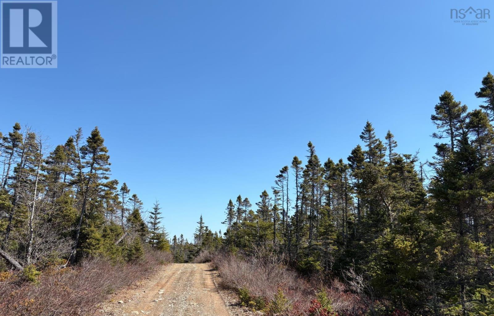 Lots Ostrea Lake Road Property Photo 11