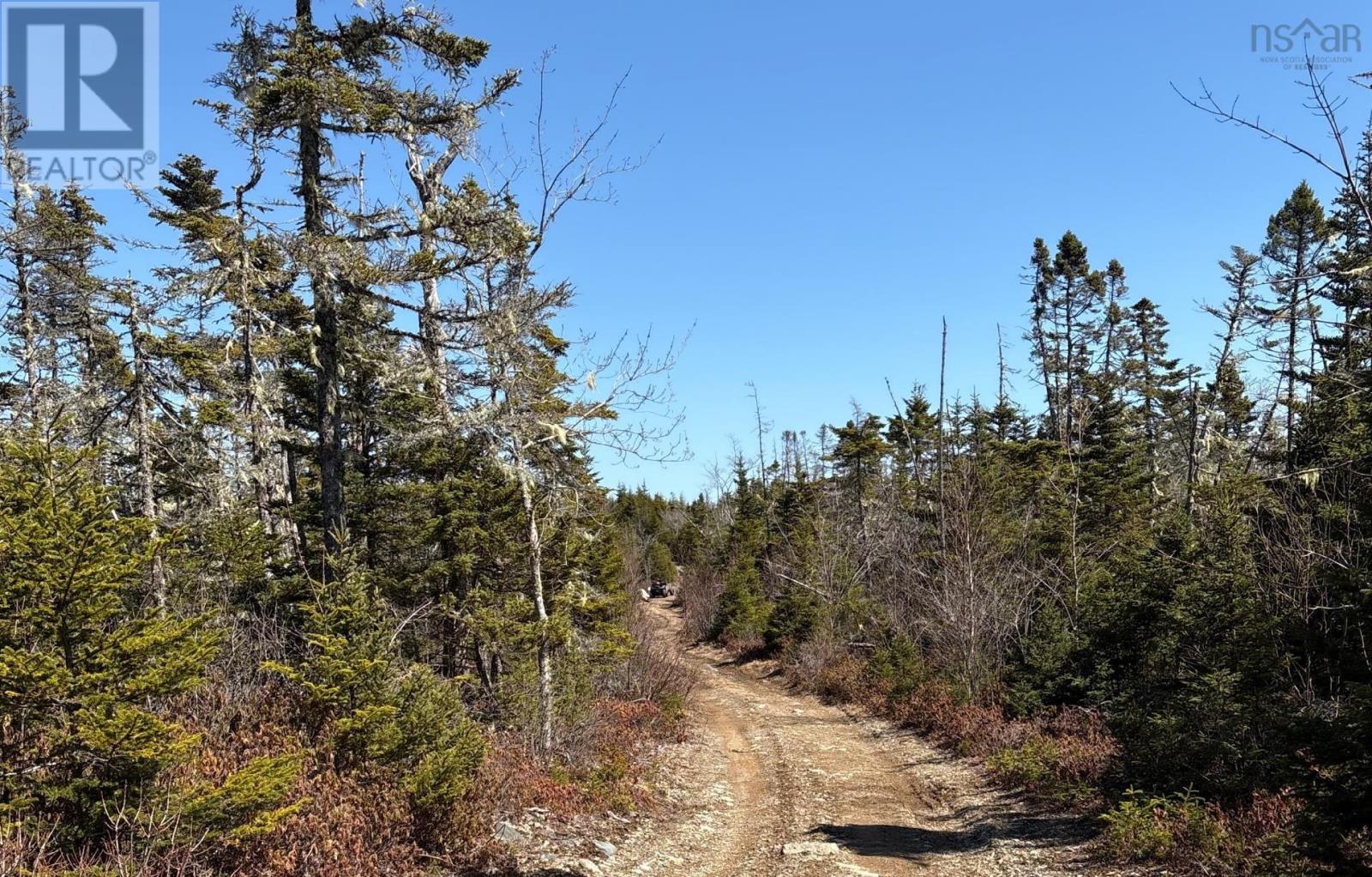Lots Ostrea Lake Road Property Photo 12