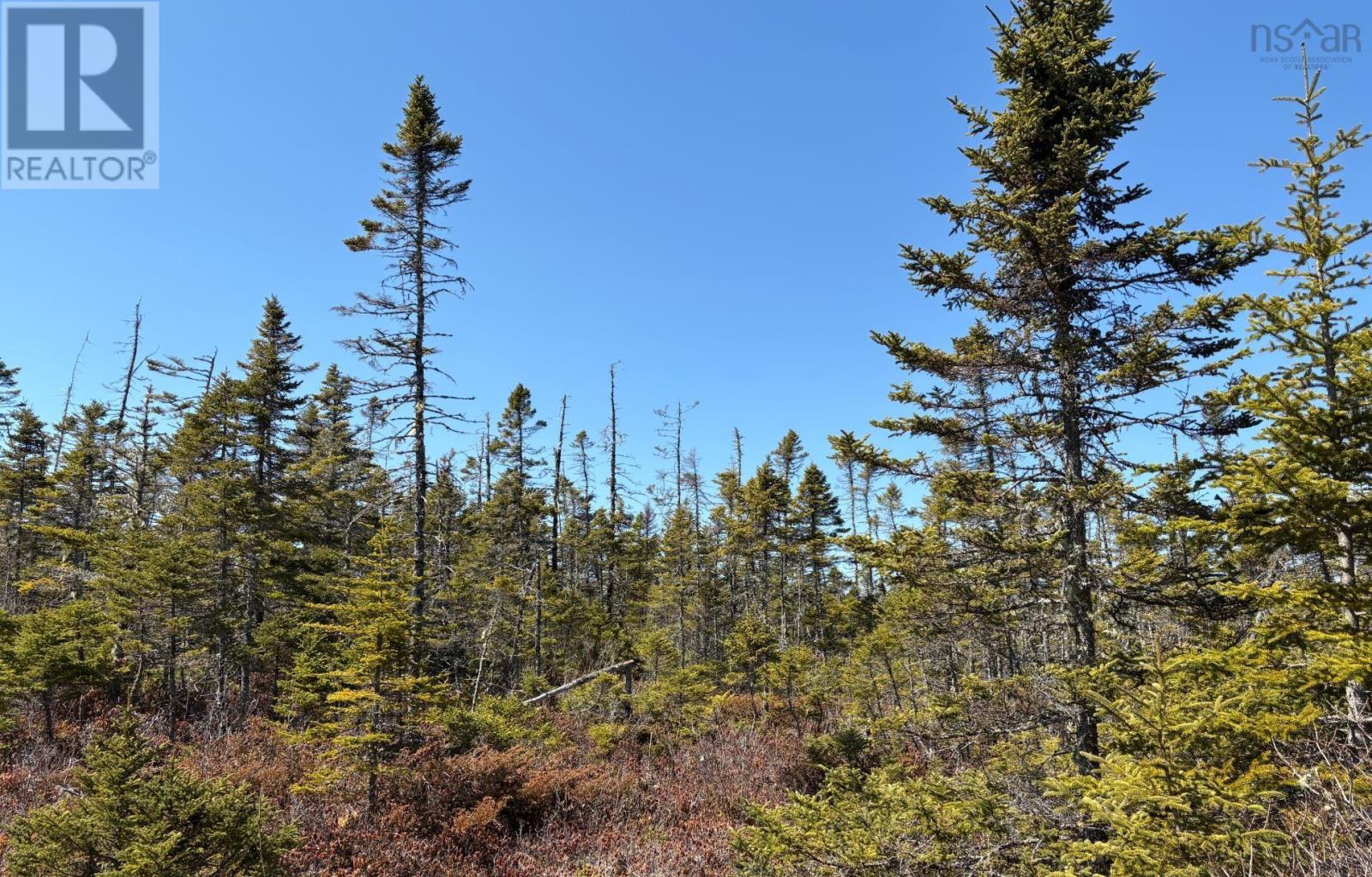 Lots Ostrea Lake Road Property Photo 13