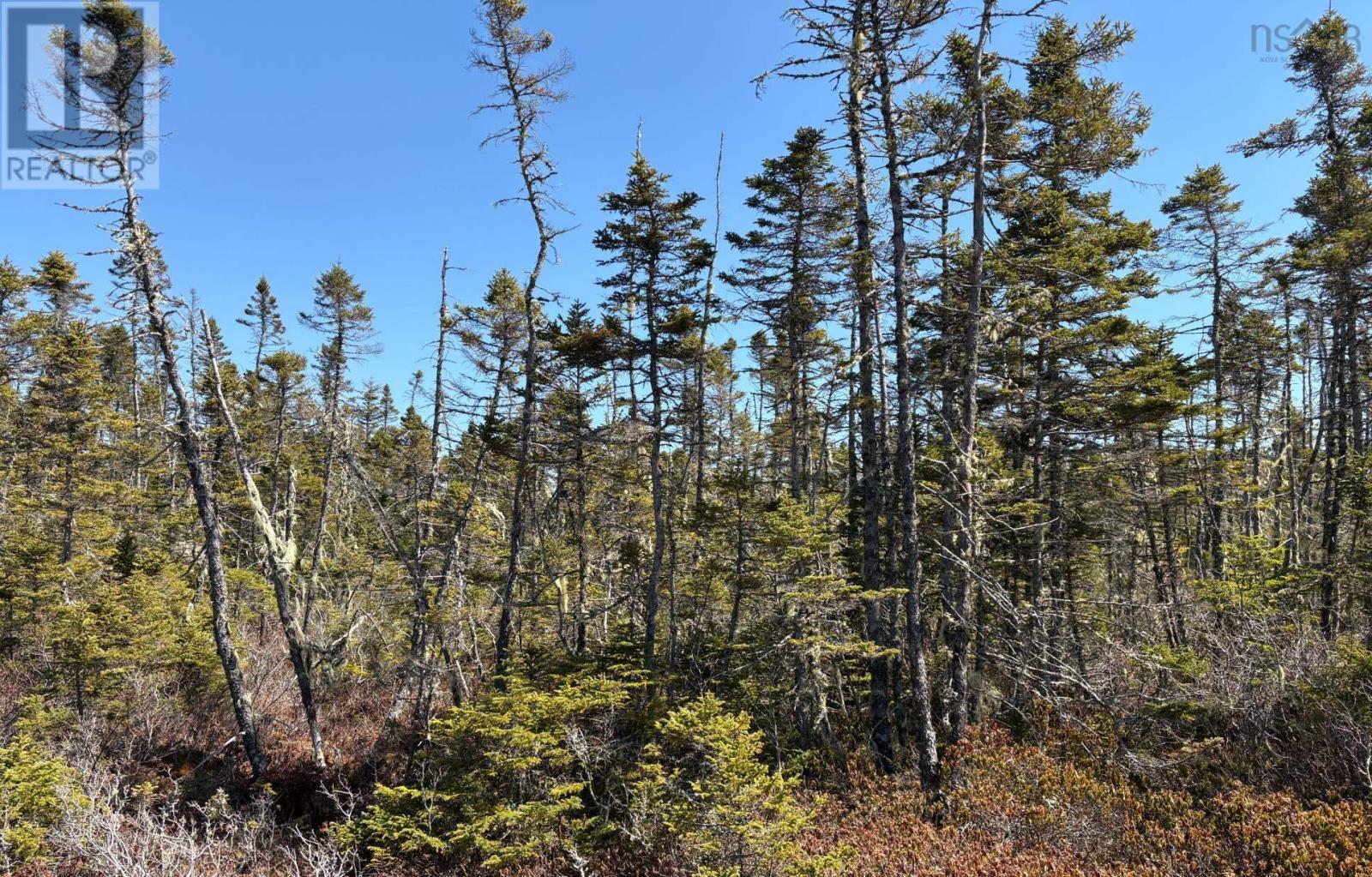 Lots Ostrea Lake Road Property Photo 14