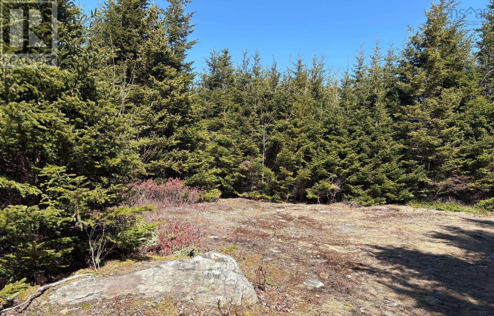 Lots Ostrea Lake Road Property Photo 15