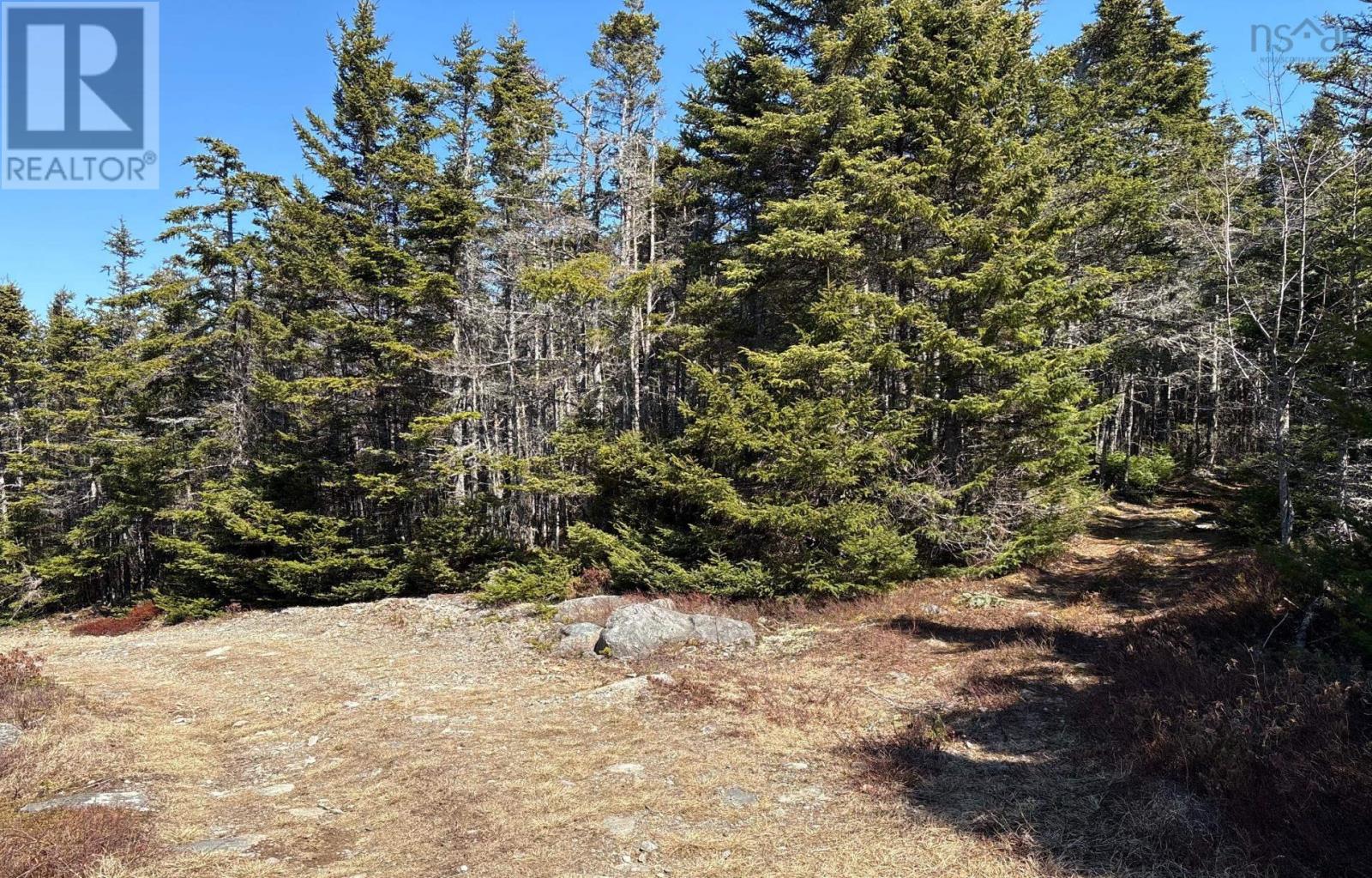 Lots Ostrea Lake Road Property Photo 16
