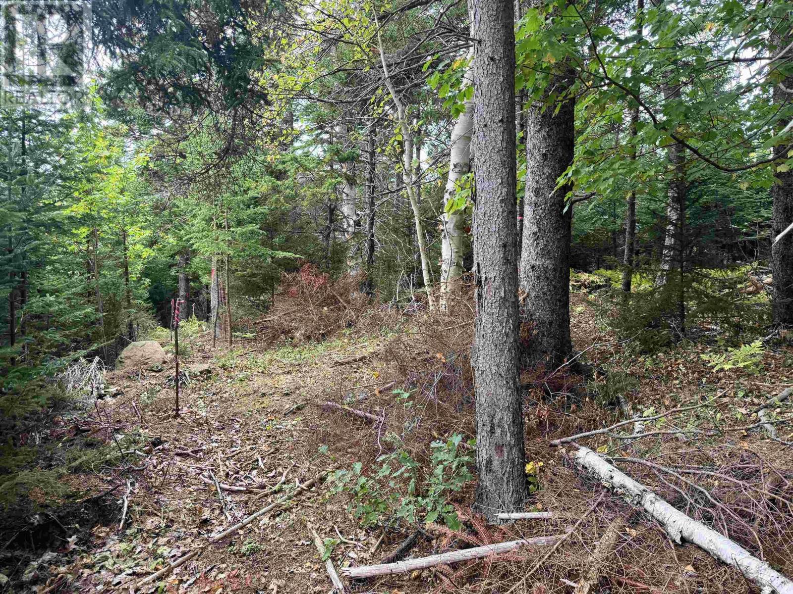 24-2 Forest Drive Extension Property Photo 1