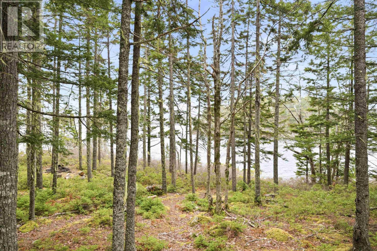 442 Narrows Road Property Photo 48
