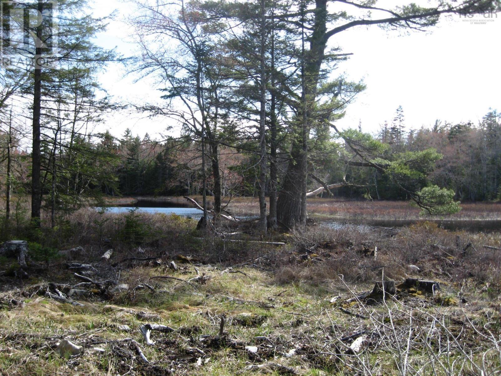 77 Bear Cove Road Property Photo 1