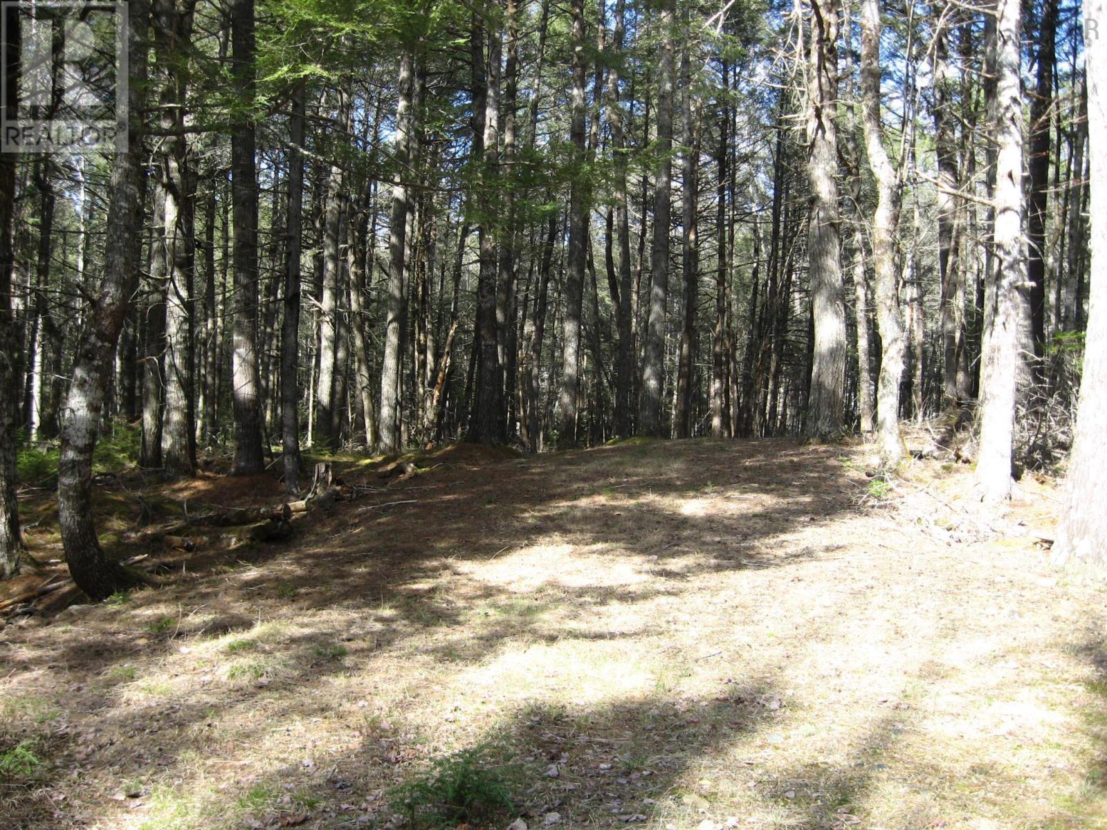 77 Bear Cove Road Property Photo 7
