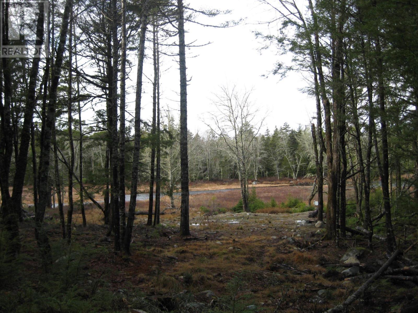 77 Bear Cove Road Property Photo 9