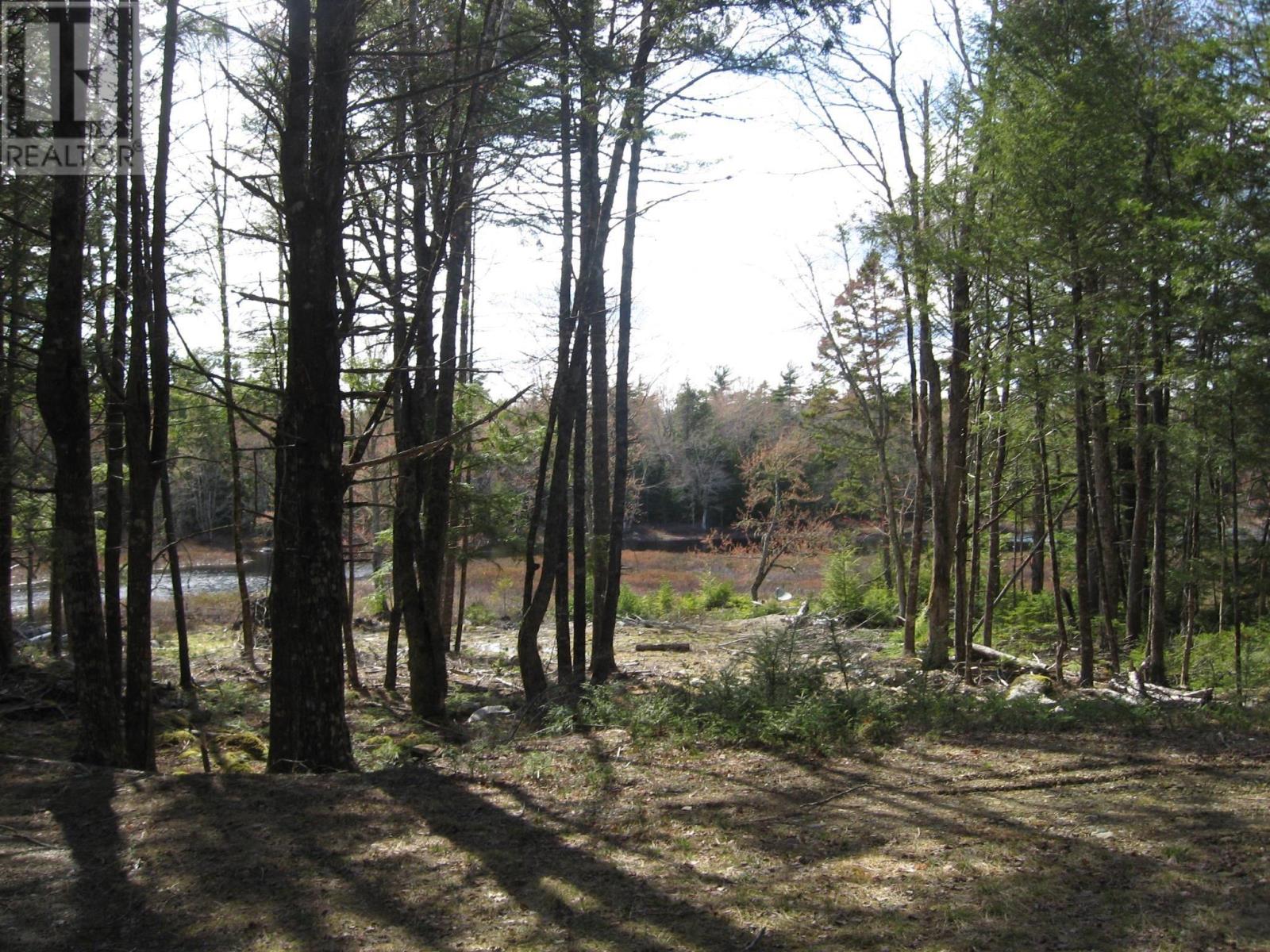 77 Bear Cove Road Property Photo 11