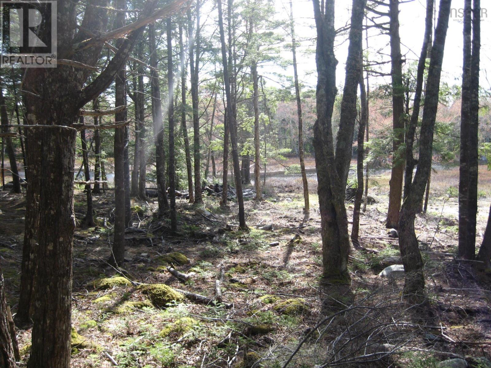 77 Bear Cove Road Property Photo 12