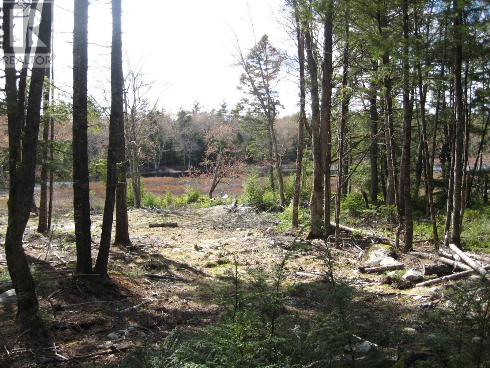 77 Bear Cove Road Property Photo 13