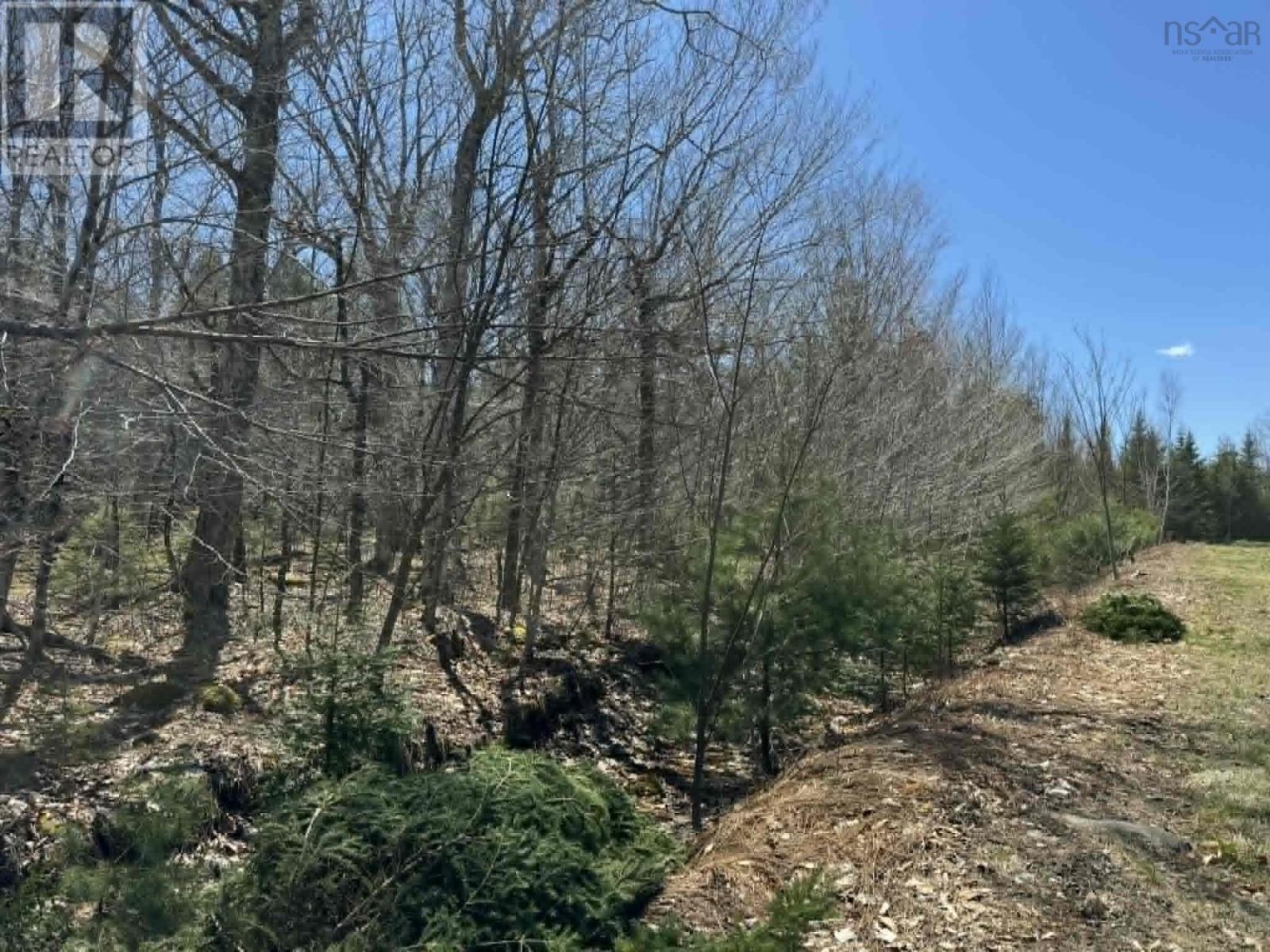 Lot R-9 Kill Dog Cove Road Property Photo 2