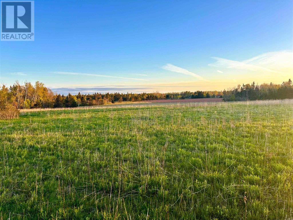 Lot Panmure Island Property Photo 3