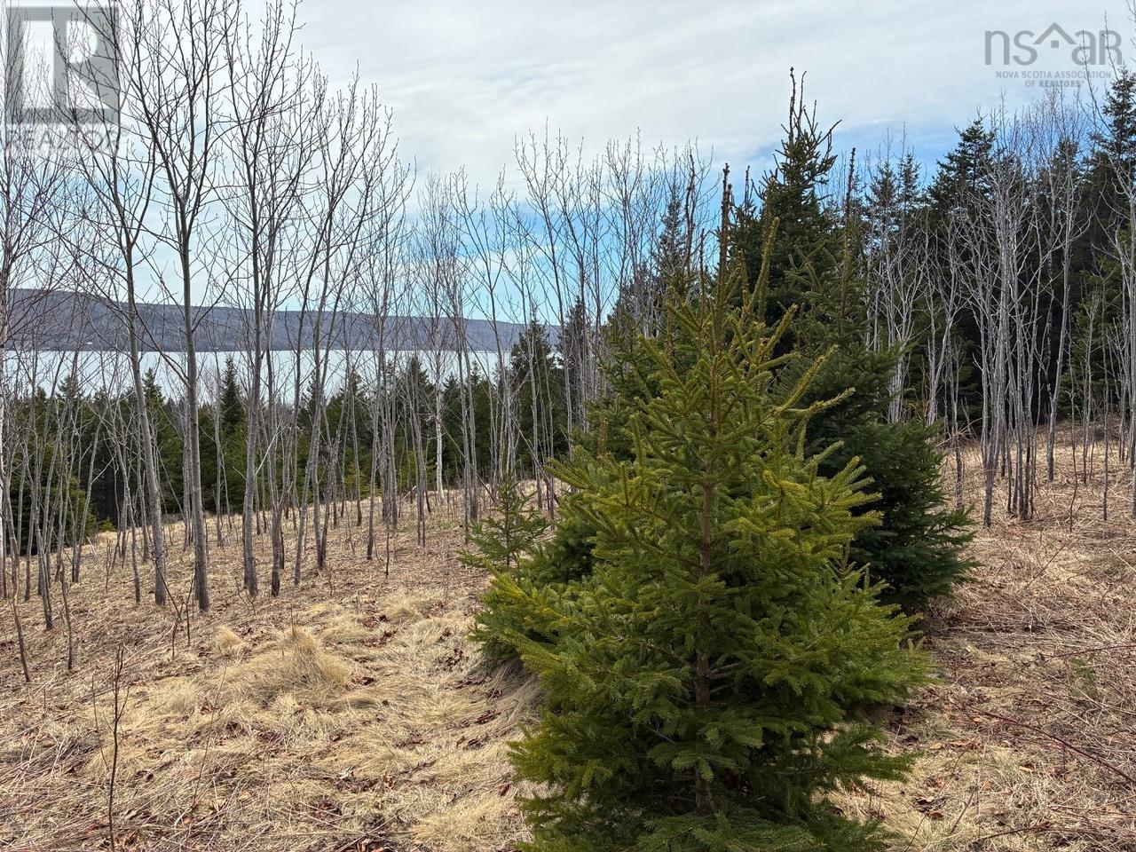 Eskasoni Road Property Photo 8