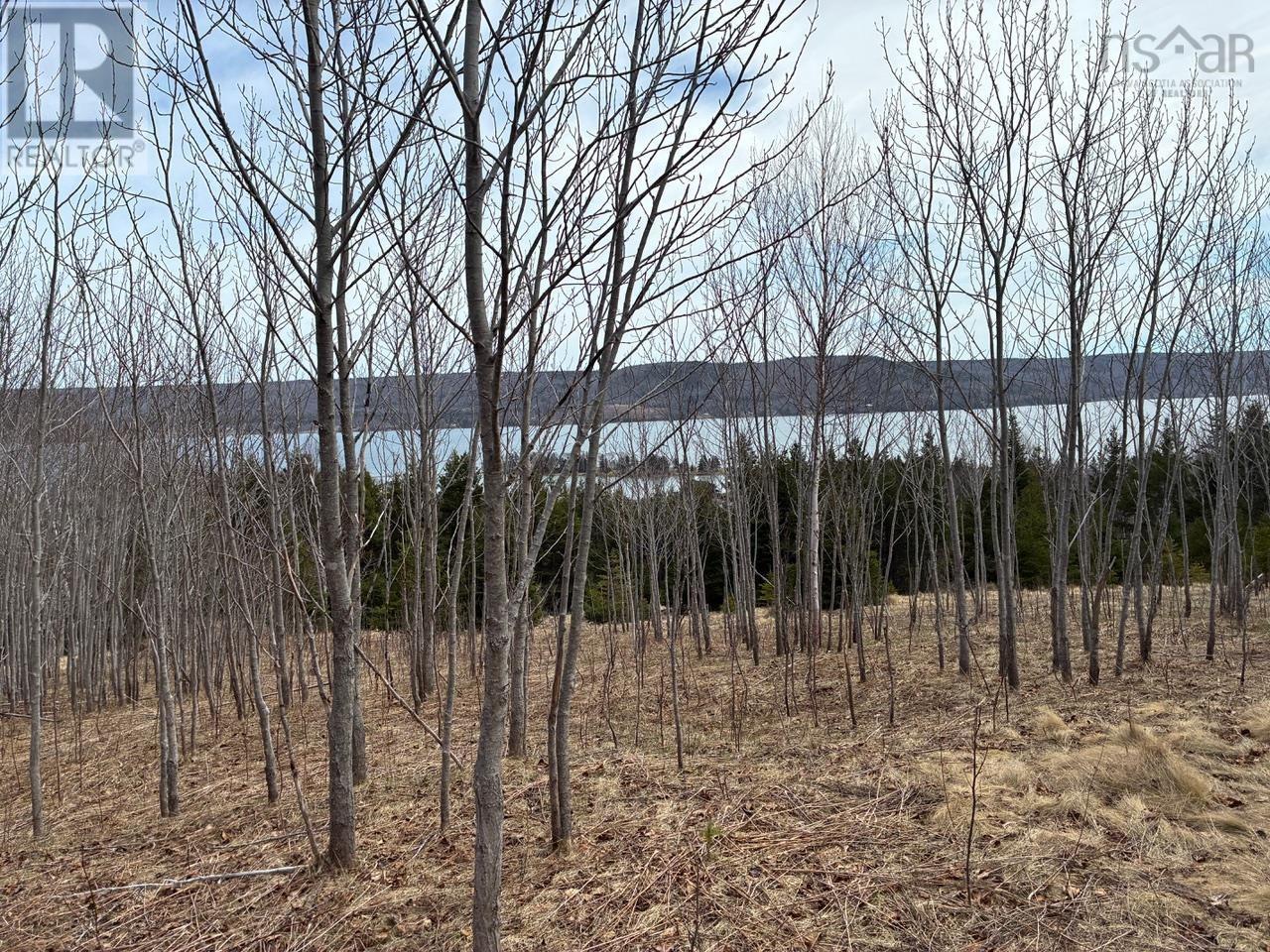 Eskasoni Road Property Photo 9